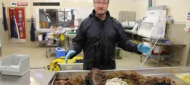 6米雄性柯氏喙鲸搁浅苏格兰斯凯岛死亡 肚内藏4公斤塑料袋