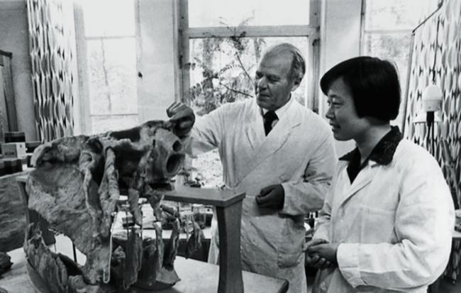 1980年，张弥曼在瑞典跟随导师雅尔维克学习。她对“杨氏鱼”的研究，挑战了导师的理论。（张弥曼 / 供图）