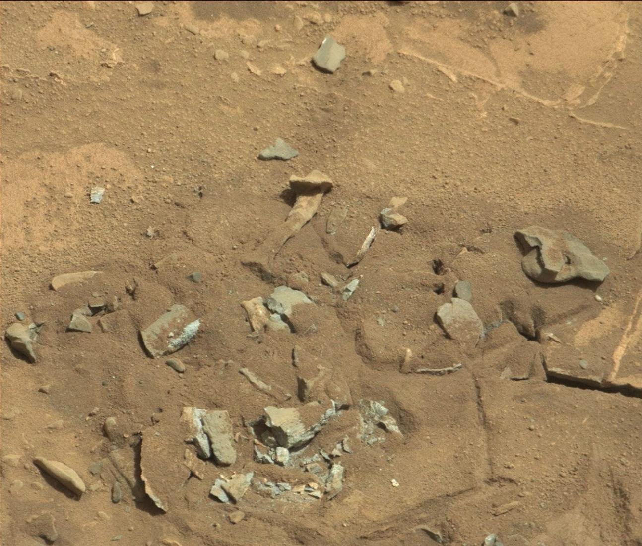UFO爱好者在美国NASA的火星照片中发现一块大骨头