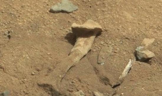 UFO爱好者在美国NASA的火星照片中发现一块大骨头