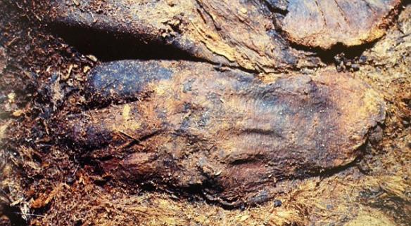 考古学家还发现三名男婴，图中是一名男婴的手。800年前，他们被埋葬在冰冻的北极地下，自然而然变成了干尸。