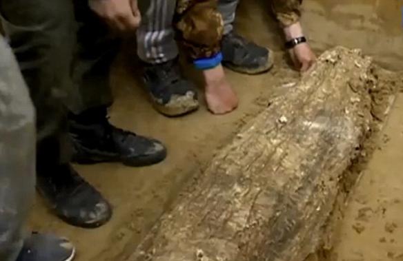 俄罗斯西伯利亚发现中世纪儿童木乃伊