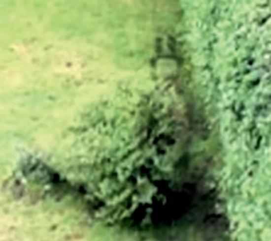 英国16岁少女后院拍到19世纪「高帽斗篷」鬼魂
