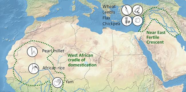 国际科学家小组指出人类文明的确切发源地：非洲东北部