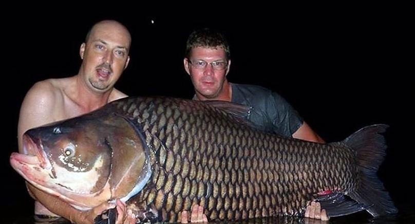英国男子在泰国侏罗纪山垂钓胜地捕获重达156斤超大暹罗鲤鱼