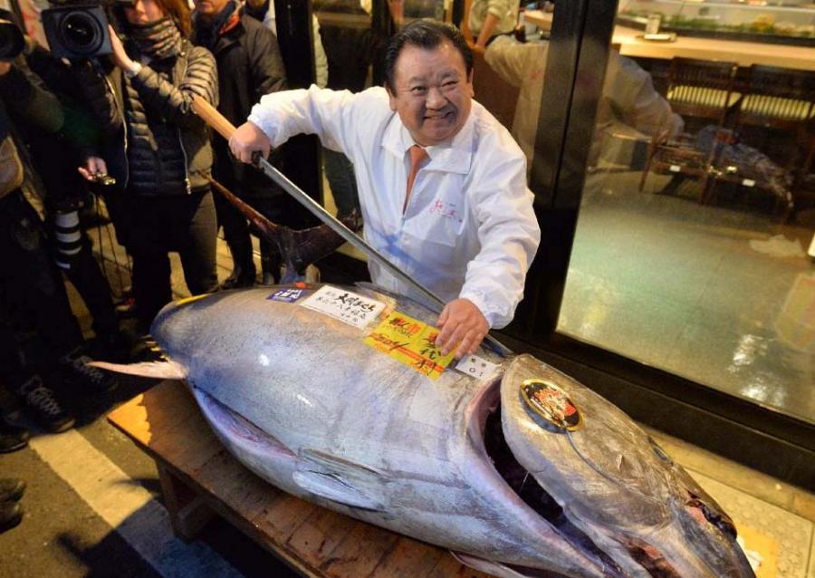 木村清社长展示拍下的金枪鱼