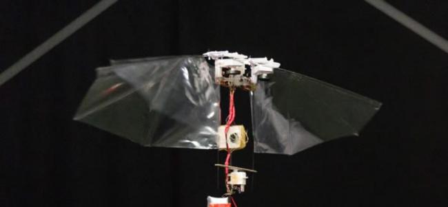 灵巧扑翼飞行机器人可模仿昆虫的特技飞行表演