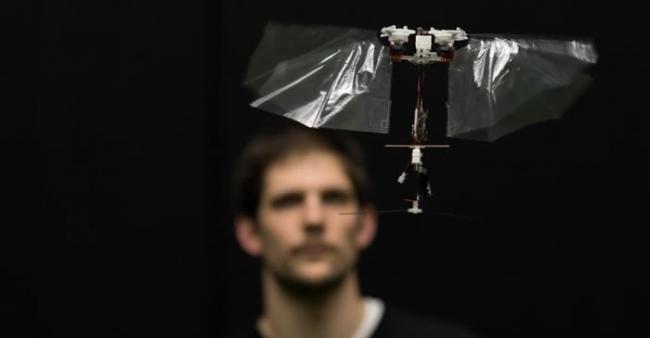 灵巧扑翼飞行机器人可模仿昆虫的特技飞行表演