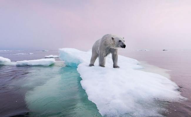 全球暖化加剧北极地区融冰，海平面上升。