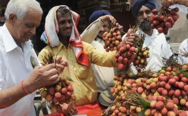 印度有大批民众因空肚食荔枝而丧命。（资料图片）