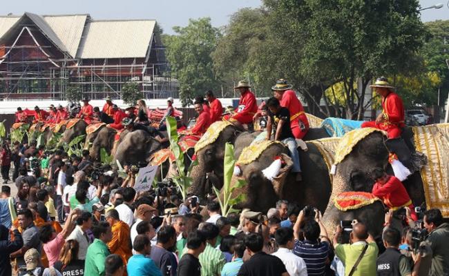 泰国一年一度大象节 喃邦、清迈办自助餐宴请象群