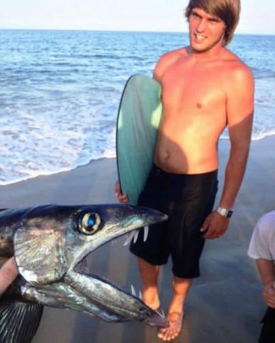 深海帆蜥鱼被冲上美国北卡罗莱纳州的海滩