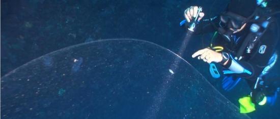 土耳其海域深海发现神秘“巨无霸泡泡” 疑似鱿鱼的巨卵