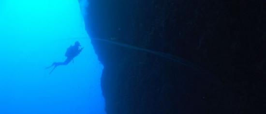 土耳其海域深海发现神秘“巨无霸泡泡” 疑似鱿鱼的巨卵