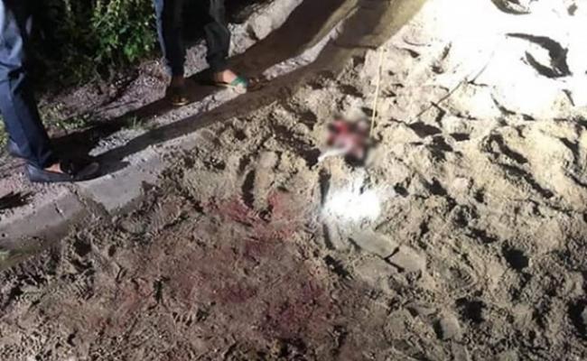 越南兴安省7岁男童回家路上惨遭7只恶犬围攻噬咬伤重不治