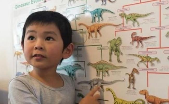澳洲4岁华裔神童Makan Wang熟记30种恐龙资料