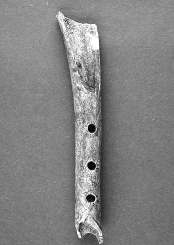 奥地利最古老乐器：1.9万年年前的驯鹿骨笛