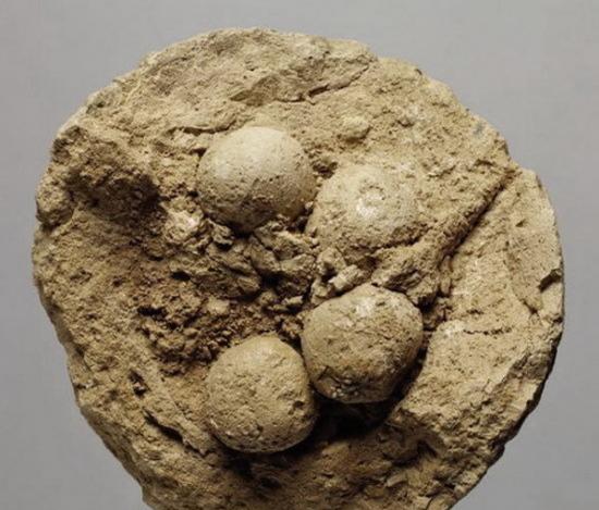 在书写文字发明之前伊朗黏土球中保存着“遗失代码”，是世界上最早的数字存储设备