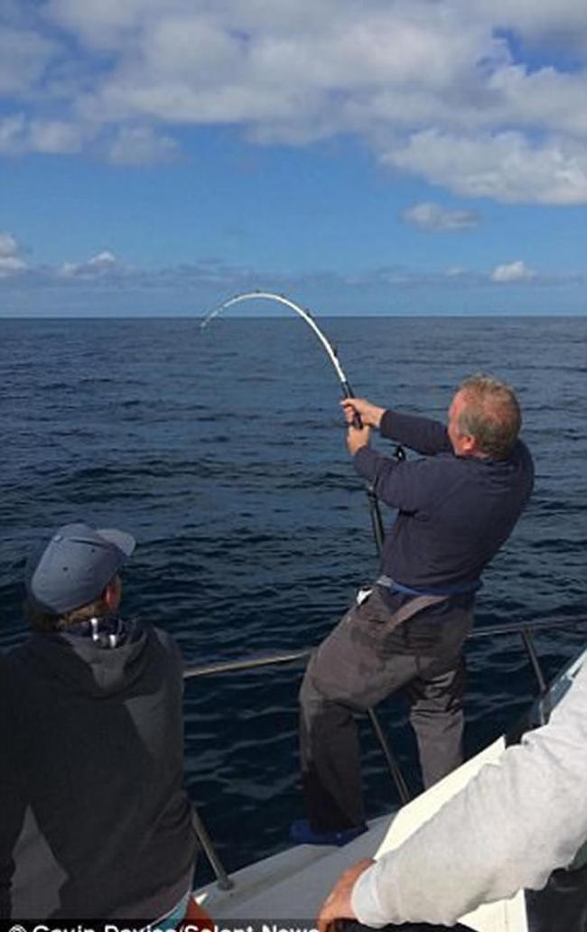 英国威尔斯渔夫在爱尔兰海海域钓起228公斤蓝鳍吞拿鱼