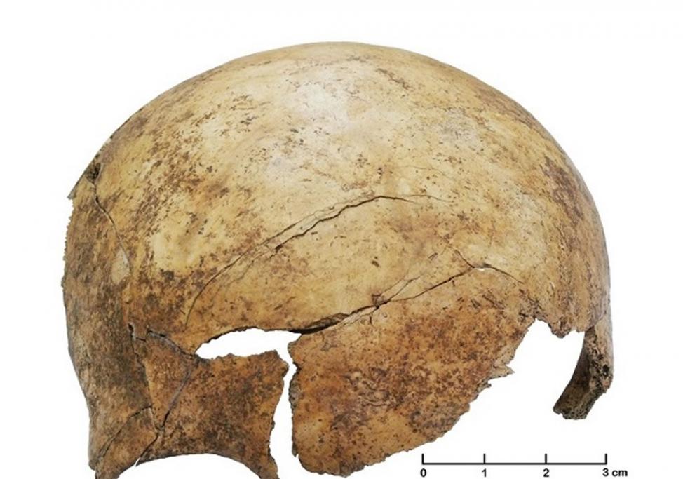 新石器时代早期人类遗骸揭示最古老大屠杀