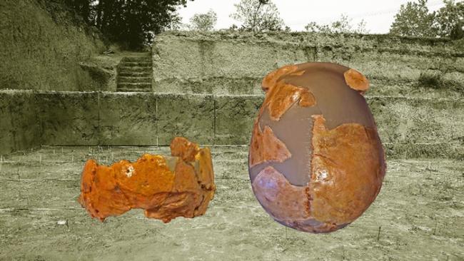 2017年度入选的“中国发现新型古人类化石”（吴秀杰供图） 河南灵井遗址发现的2件人类头骨化石(右侧：许昌1号；左侧：许昌2号)