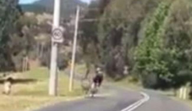 澳洲堪培拉单车骑士路上行驶遇愤怒鸸鹋“追击”