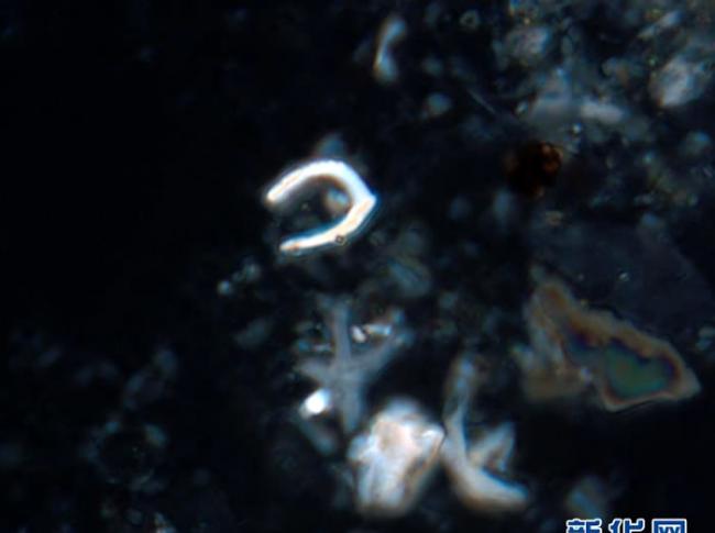 古今尘世知多少，沧海桑田几变迁――在放大1000多倍的显微镜下，“决心”号上的科学家读懂了从南海海底钻取的岩芯中“超微世界”的语言。新华社发（苏翔 摄）