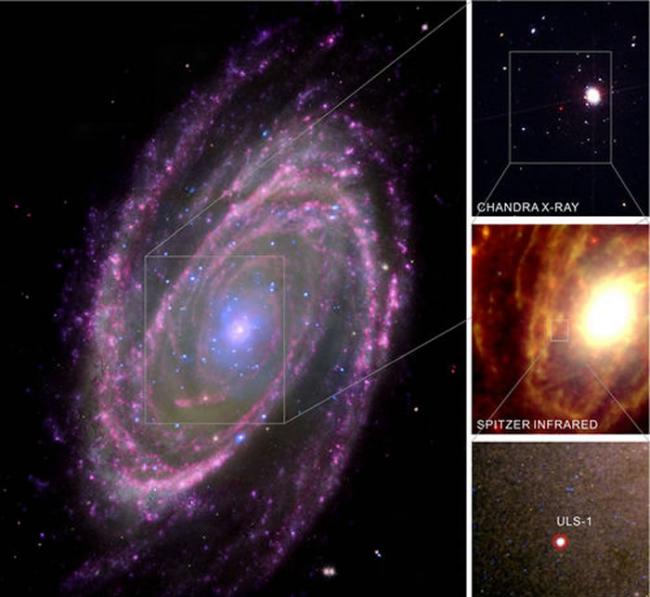 旋涡星系M81中的极亮超软X射线源位置。彩图由美国的Hubble空间望远镜、GALEX紫外望远镜、Spitzer红外望远镜、Chandra X射线望远镜的图像合