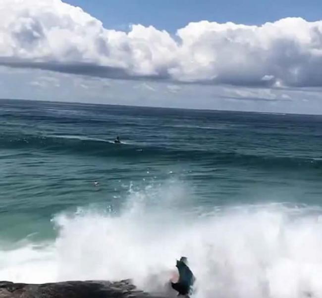 澳洲男子不畏巨浪来势汹汹 岸边亡命自拍