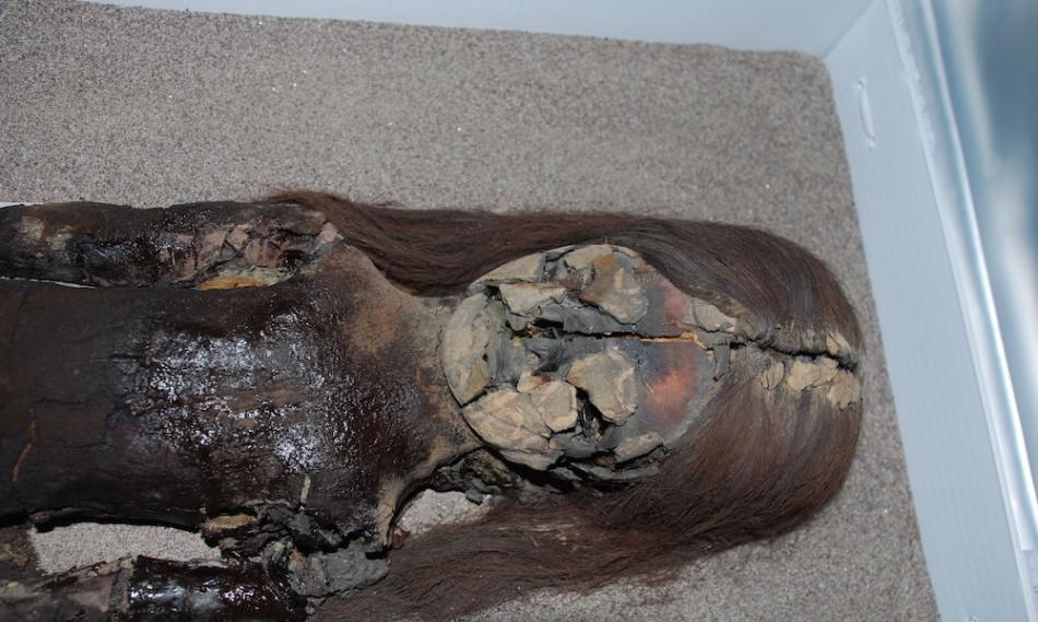 著名的7000年前新克罗木乃伊(Chinchorro mummies)因环境潮湿面临威胁