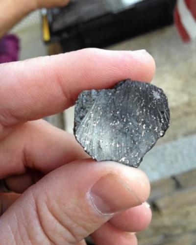 这是在诺瓦托地区发现的第二块陨石的一块切片。第一块陨石是丽莎・韦伯在10月20日发现的，而这第二块陨石则由一位萨克拉门托的陨石搜寻者在10月22日找到。此前的2