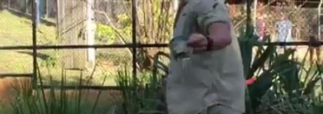 澳洲动物园鳄鱼塑料瓶卡喉 职员用木棒挑衅迫其吐出