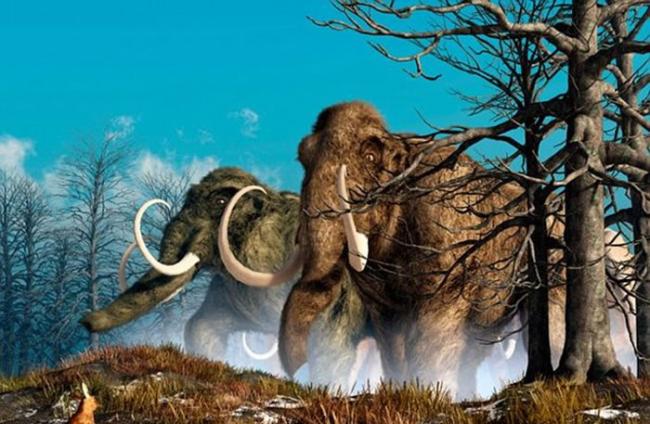 中科院南京地质古生物所研究员袁训来：猛犸象完全复活是不可能的