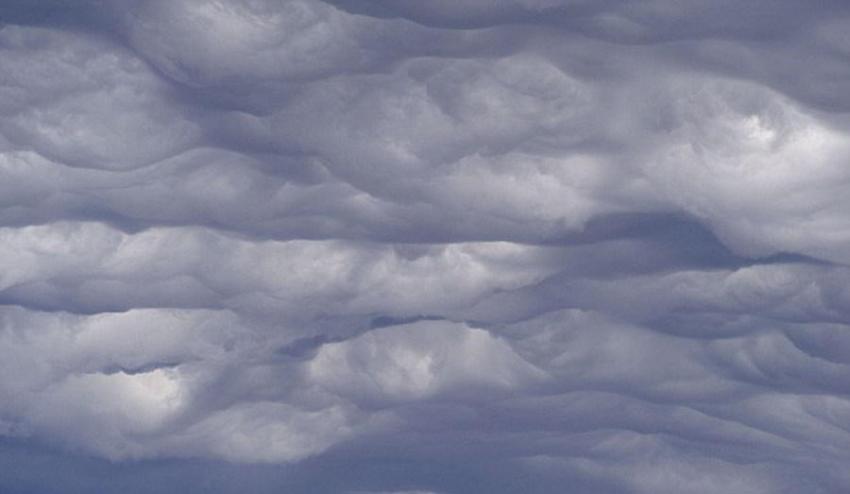 波涛云翻译之后的意思是“粗糙的波浪”，被认为是强风气候下形成的一种乳状云，计划将于2015年11月作为一种新类型云层列入国际云图。