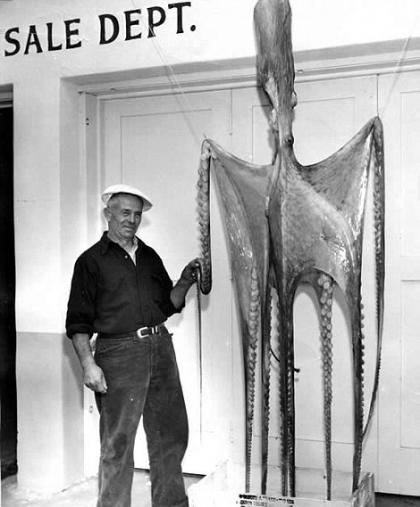 麦克莱恩表示：“几年前，我注意到人们一直说巨型鱿鱼的身长可达到约18米，这是一个令人吃惊的长度。当我对数据进行分析时，我发现这一估计与实际情况大相径庭。”实际测