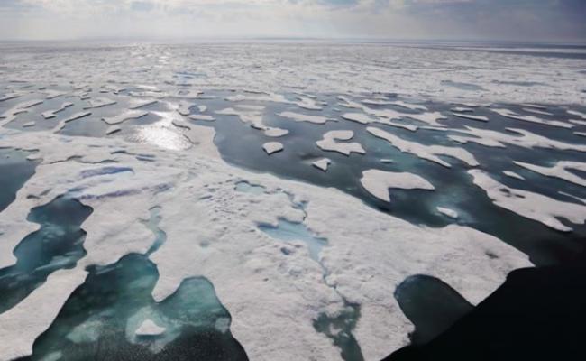 北冰洋冰块内微塑料量破纪录 海洋生态势将受危害