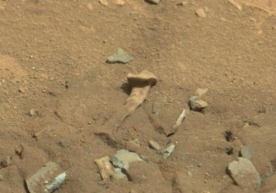 阴谋论者认为好奇号已经在火星表面拍摄到疑似外星人骨头的照片