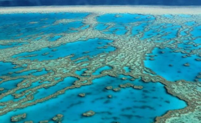气候暖化是加剧大堡礁珊瑚白化的原因之一。