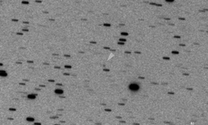 C/2013 V5 (Oukaimeden)彗星