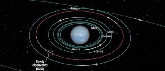 新发现的小卫星使海王星的卫星总数达到14颗，这张图展示的是海王星部分卫星的轨道示意图