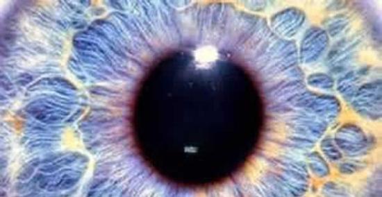 眼中的干细胞可防止常见原因的失明