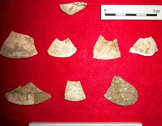 日本国内首次发现旧石器时代的贝类工具