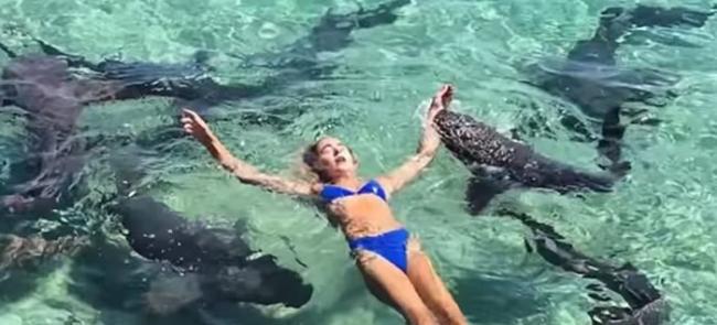 鲨鱼袭击在巴哈马拍摄的美国博主