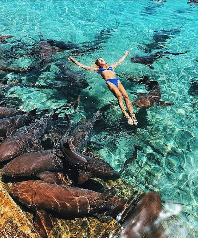 鲨鱼袭击在巴哈马拍摄的美国博主