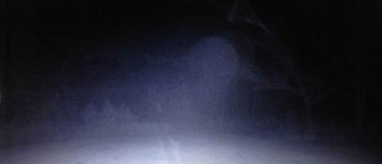 美国红外线摄影机拍野鹿竟然拍到树林中的UFO