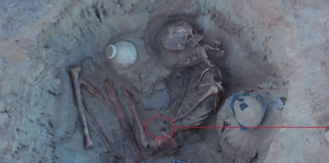 一支意大利与美国合作的团队，在埃及南部亚斯文（Aswan）近郊发掘出一名古代女子与她未出世胎儿的骨骸。 COURTESY MINISTRY OF ANTIQUI