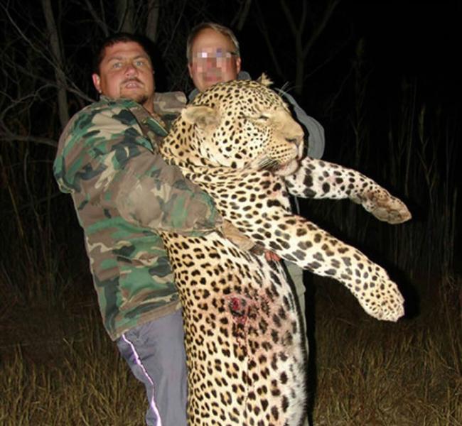 齐尔经常客户到非洲打猎，打死不少非洲豹。