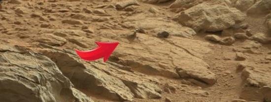 “好奇号”在火星岩层中发现神秘金属物体