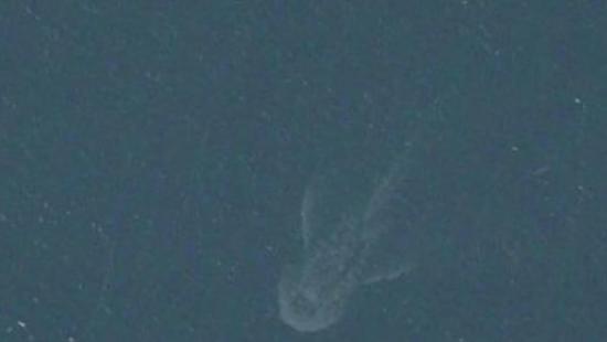 两名英国男子从iPhone卫星地图APP影像中发现疑似尼斯湖水怪身影