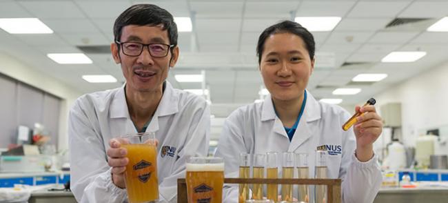 新加坡国立大学学生陈美芝成功研发出全球第一款益生菌啤酒